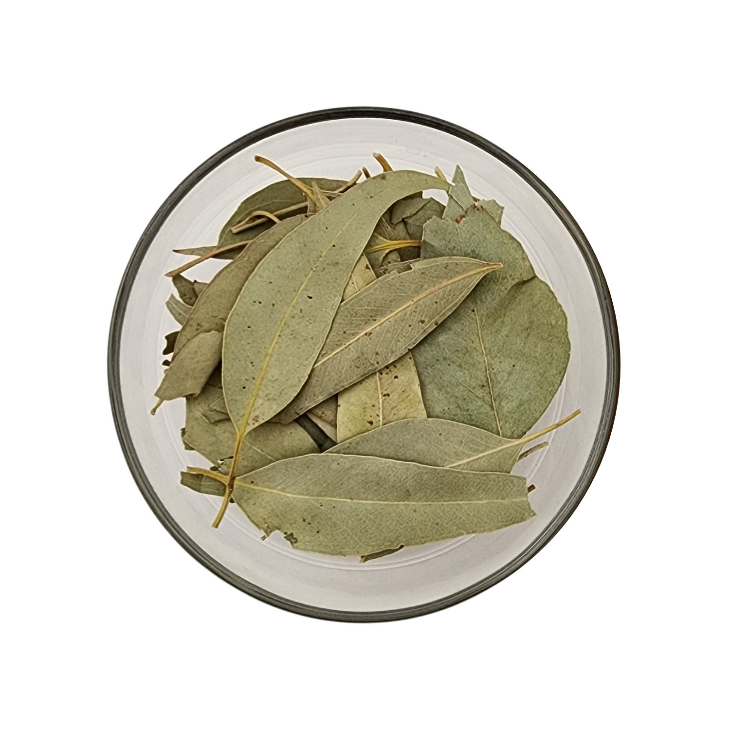 Wildcrafted Eucalyptus Leaves