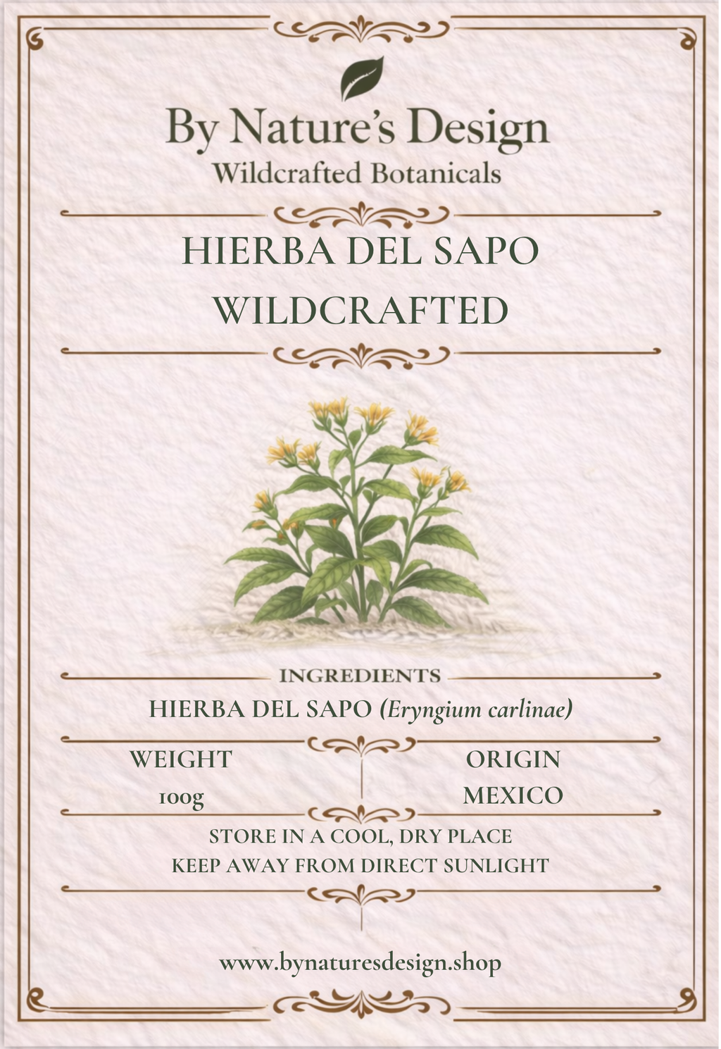 Wildcrafted Hierba Del Sapo (Mexican Thistle)