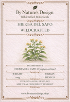 Wildcrafted Hierba Del Sapo (Mexican Thistle)
