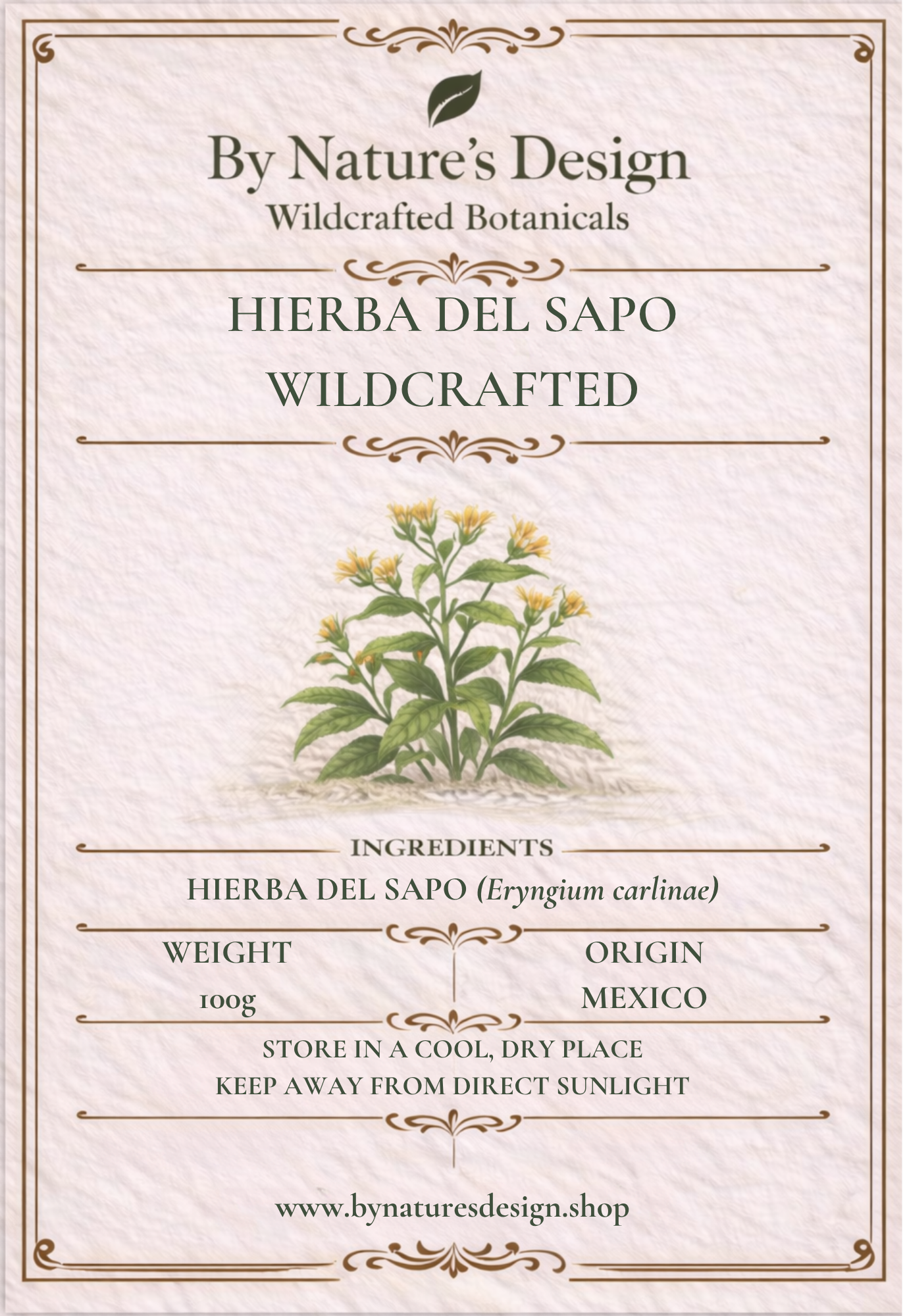 Wildcrafted Hierba Del Sapo (Mexican Thistle)