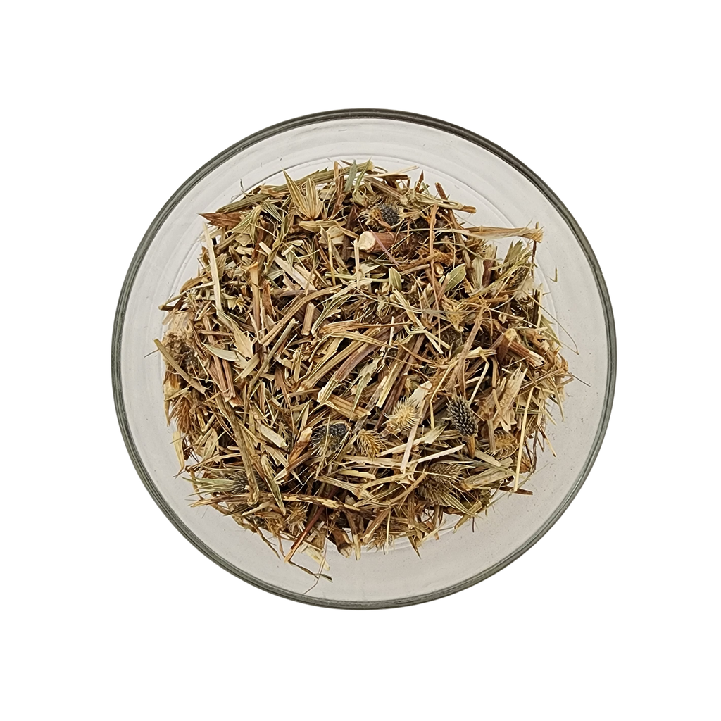 Wildcrafted Hierba Del Sapo (Mexican Thistle)