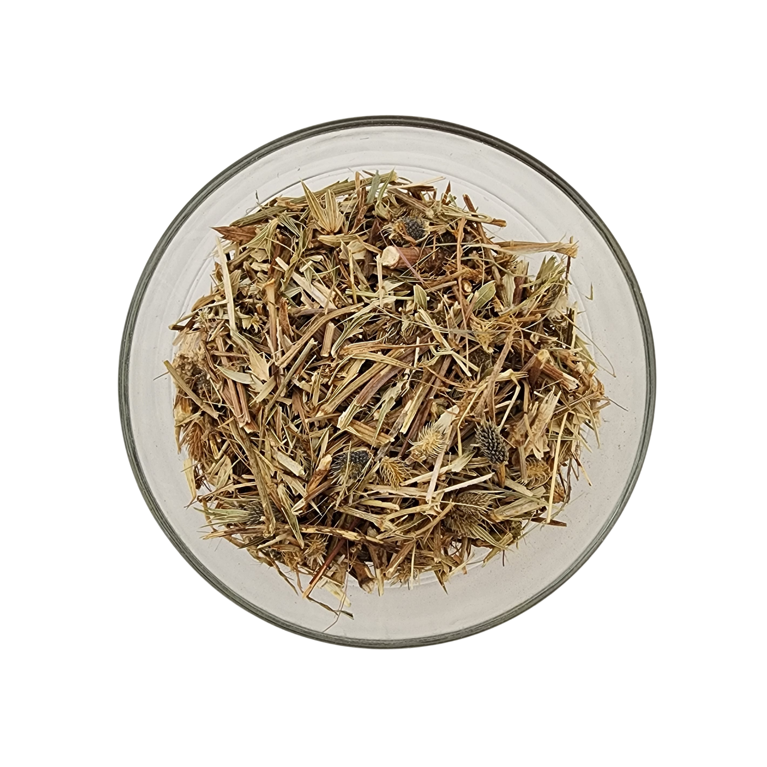 Wildcrafted Hierba Del Sapo (Mexican Thistle)