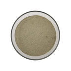 Wildcrafted Nettle Leaf Powder