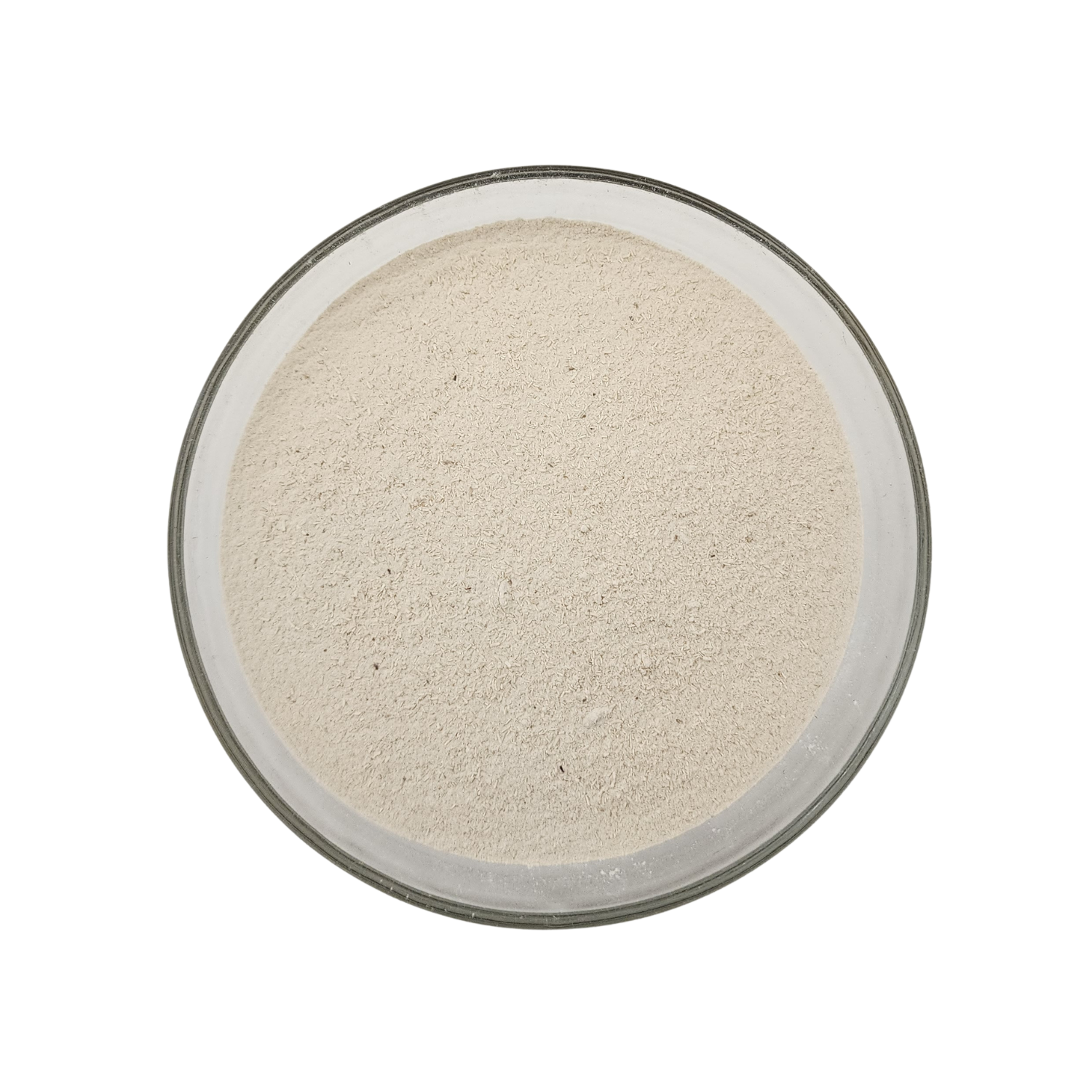 Wildcrafted Nopal Powder (Prickly Pear)